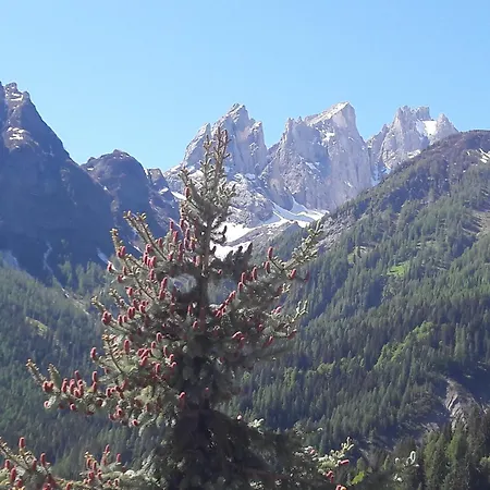 公寓 Madama 法尔西德